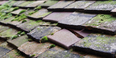 Weston In Gordano roof repair costs
